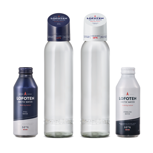 Agua ártica de Lofoten