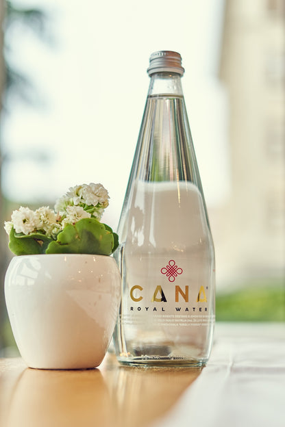 Agua Real de Cana