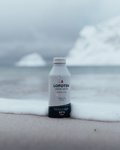 Agua ártica de Lofoten